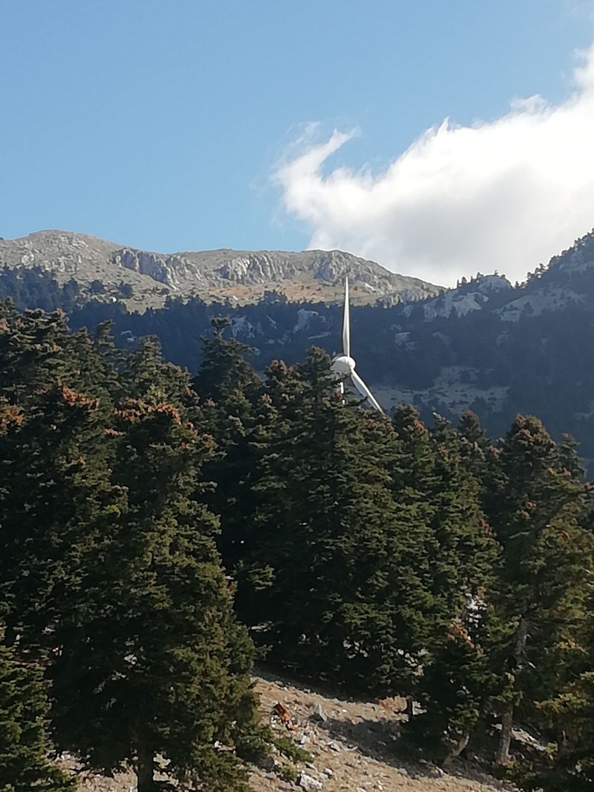 Wind turbines on Elikonas mountain in Viotia, Greece. Image: Viotia SOS
