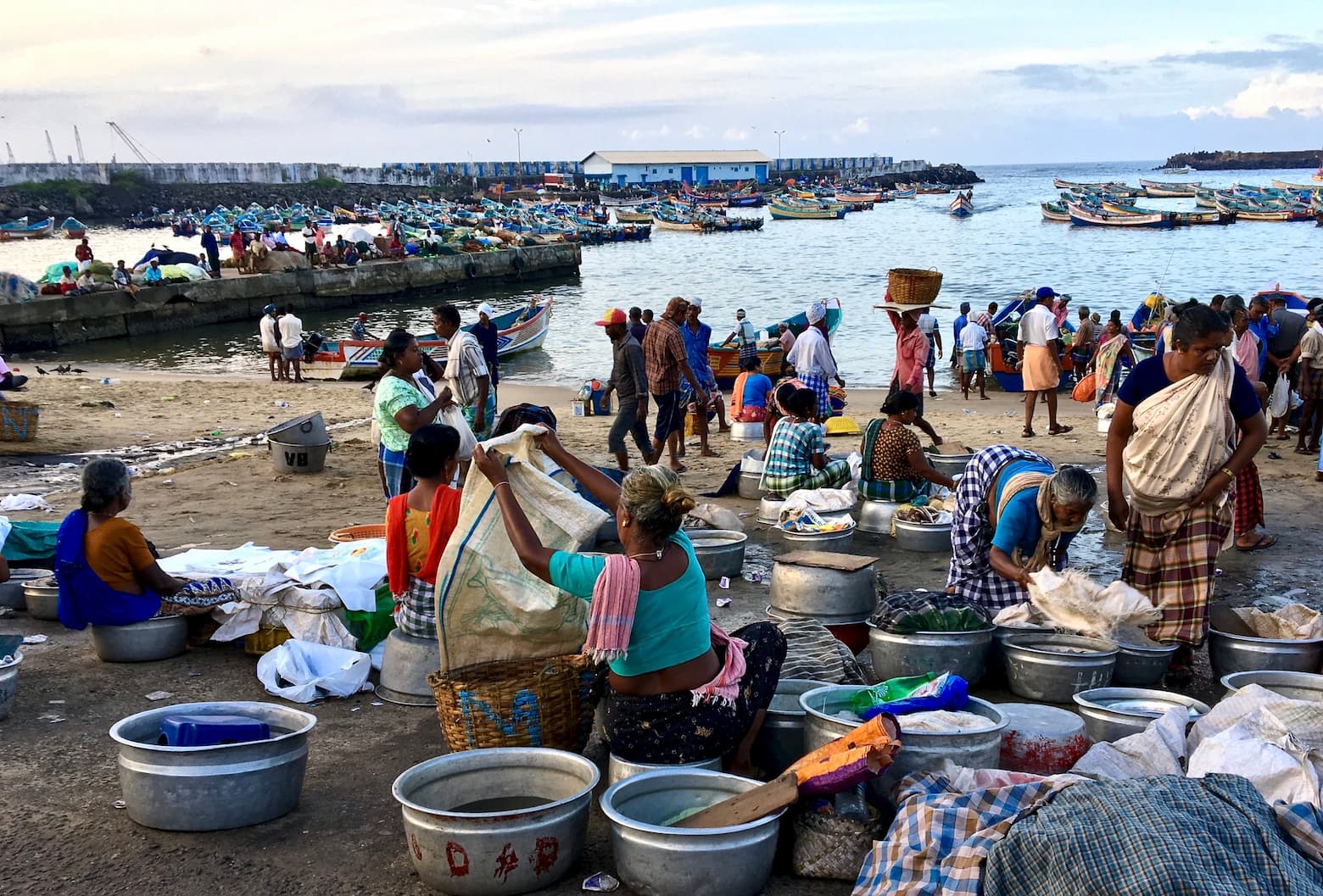 As boats land in the morning, women get ready to buy fish at the harbour of Vizhinjam to sell locally and in the city market. Image: Max Martin