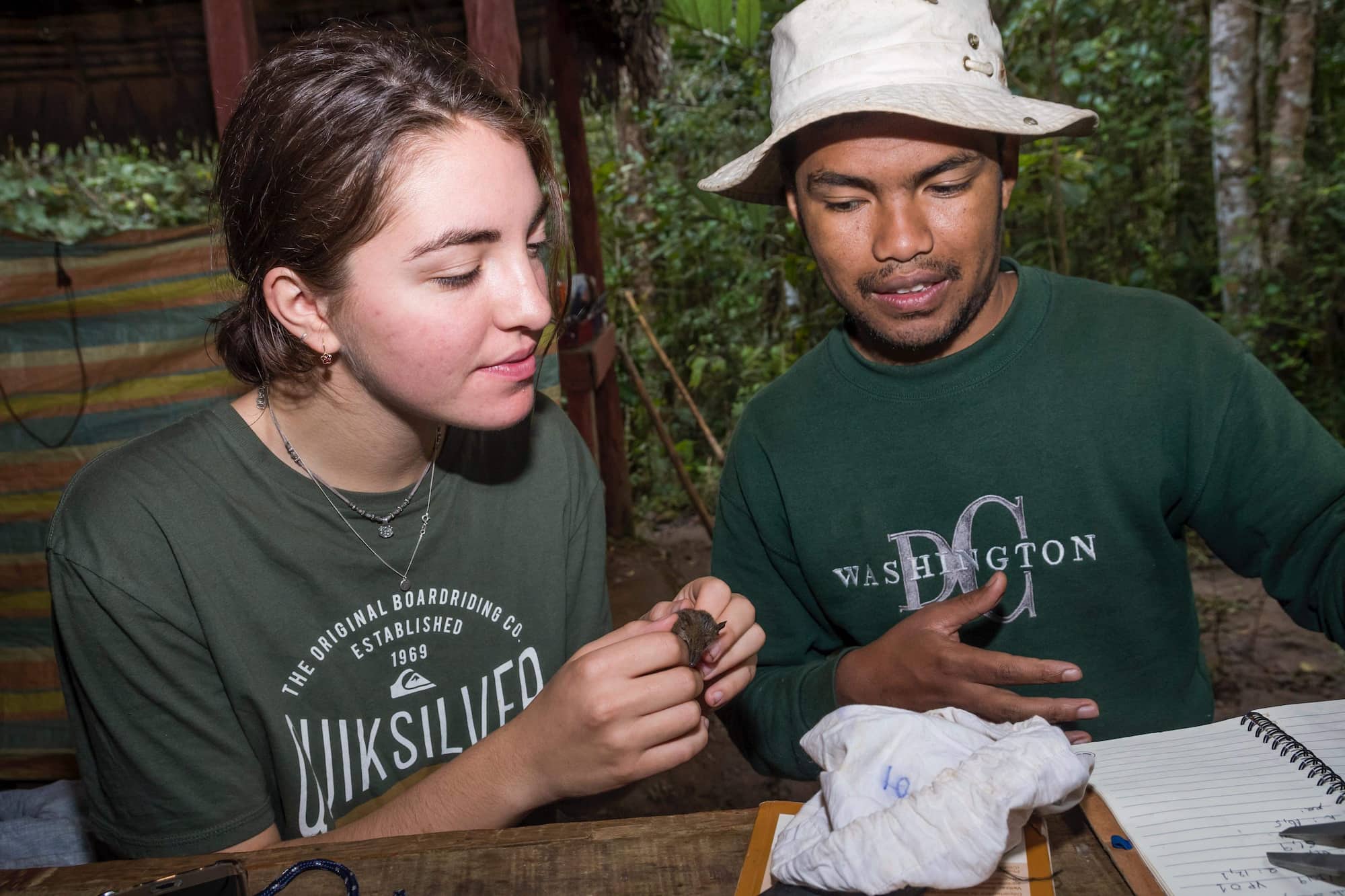 Natalie and Gaetan (DBCAM and the University of Antananarivo) taking measurements of a shrew (Microgale sp.) for the small mammal survey, one of 14 different mammal species identified.