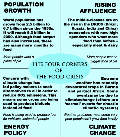 Figure 1:  Four corners of the food crisis