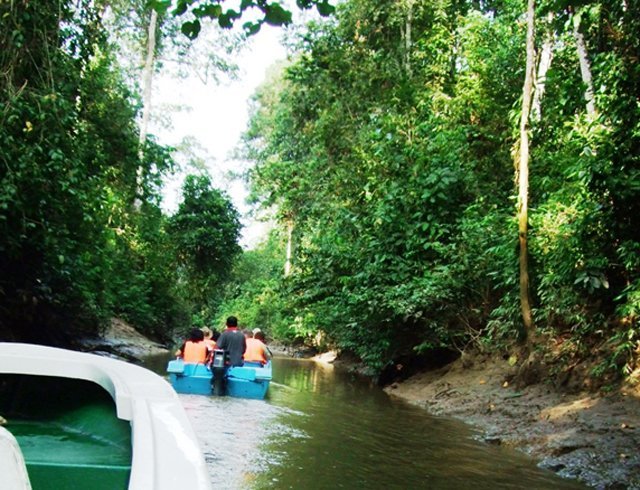 Tourists travel down the Kinabatangan River, Malaysia in order to reach villages in the rainforest. (Source: Author’s own)