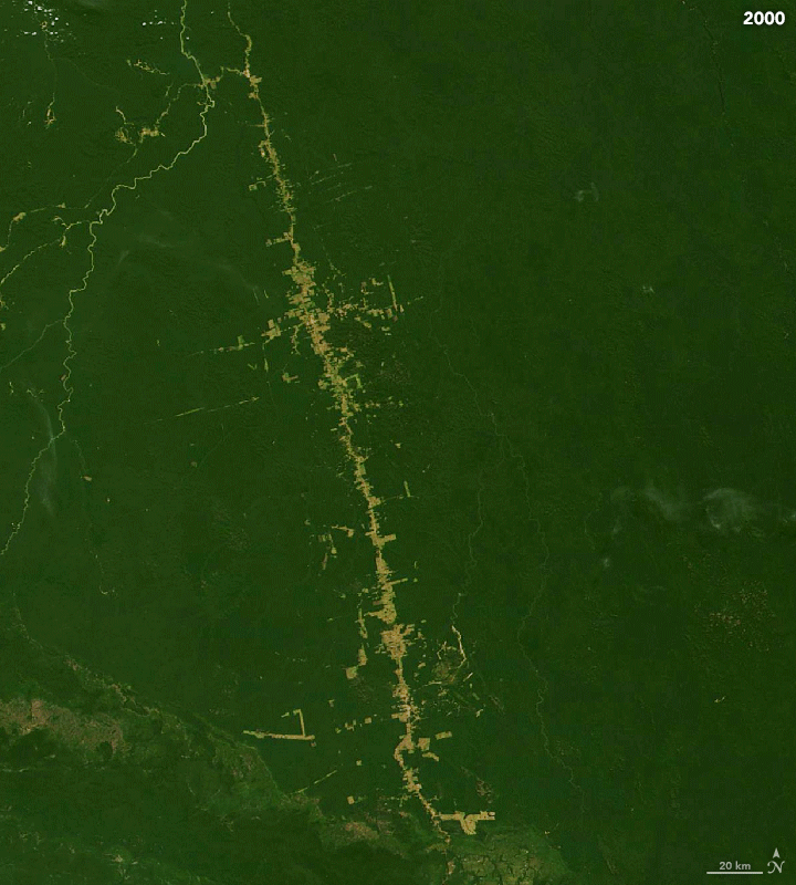 Deforestation June 4, 2000 - June 19, 2019. Copyright NASA https://earthobservatory.nasa.gov/images/145988/tracking-amazon-deforestation-from-above