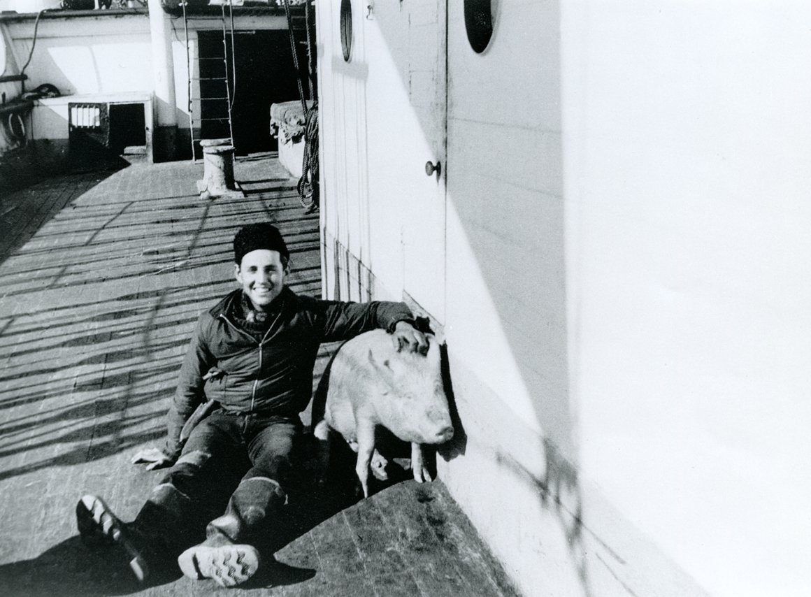 ‘Eric Newby with one of the pigs', 1938