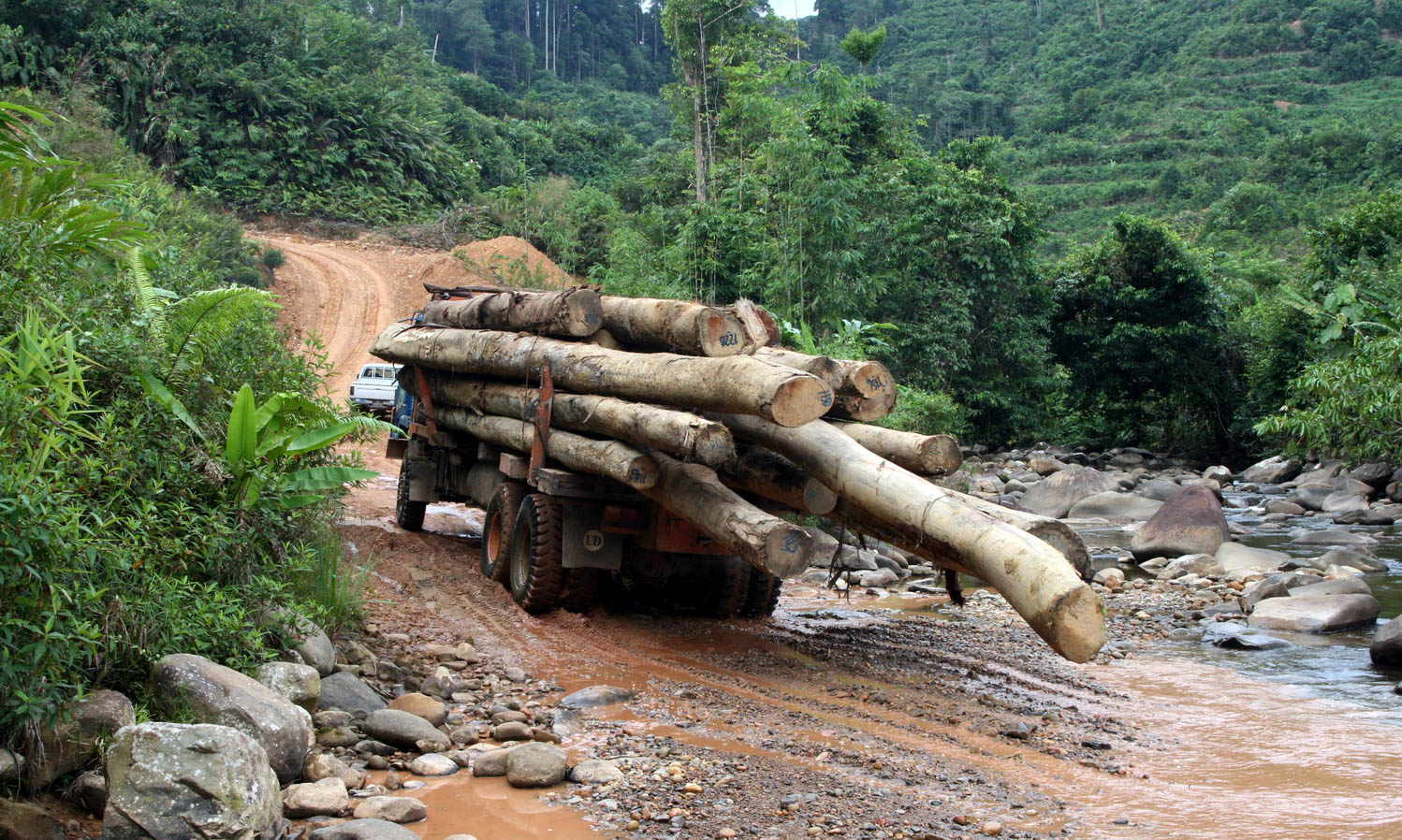 Logging in Borneo, close to Crocker Range National Park (Image:  Dr Alexey Yakovlev/Flickr, CC BY-SA 2.0)