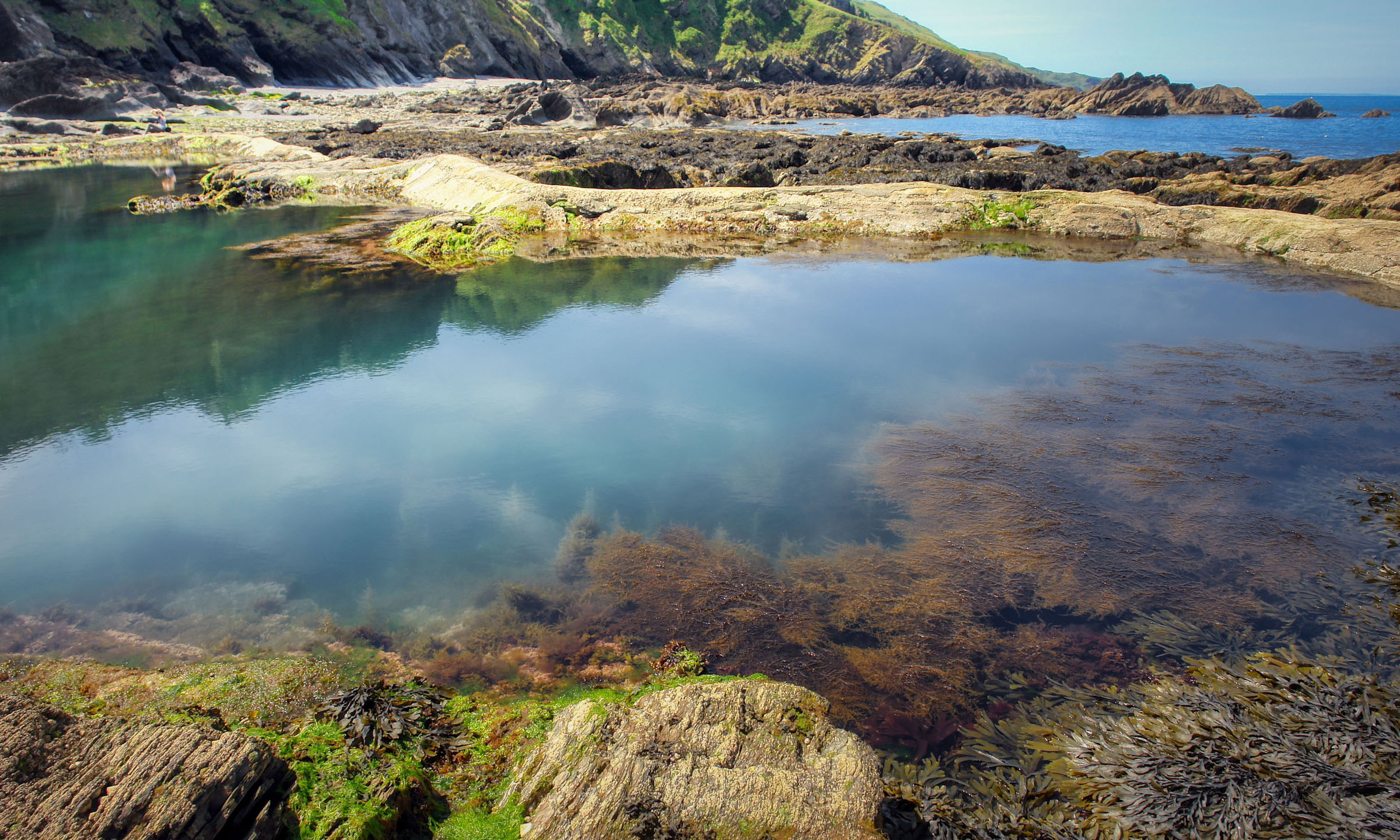 Seaweed on the Cornish coast (Image: Fietzfotos Pixabay)
