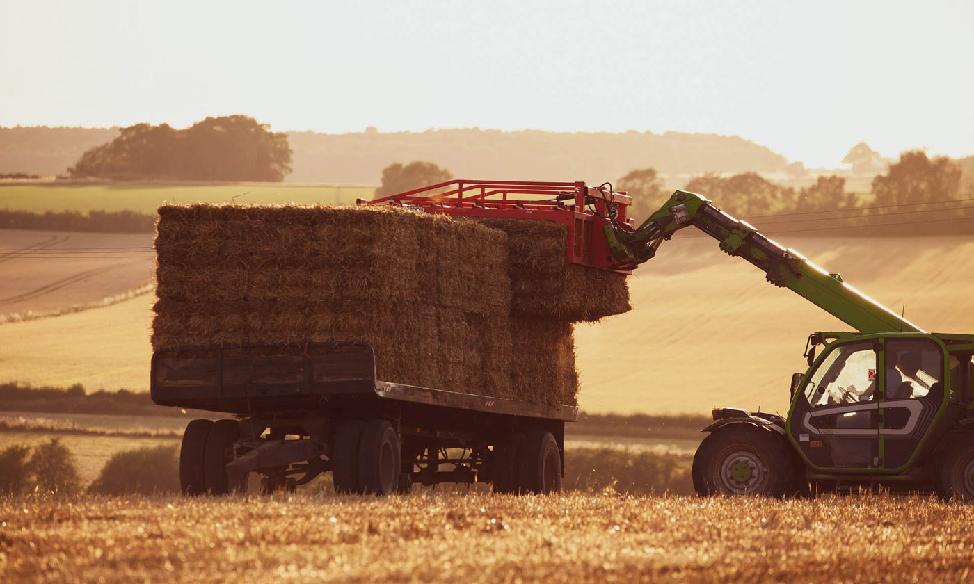 Wheat harvest (Image: TheOtherKev/Pixabay)