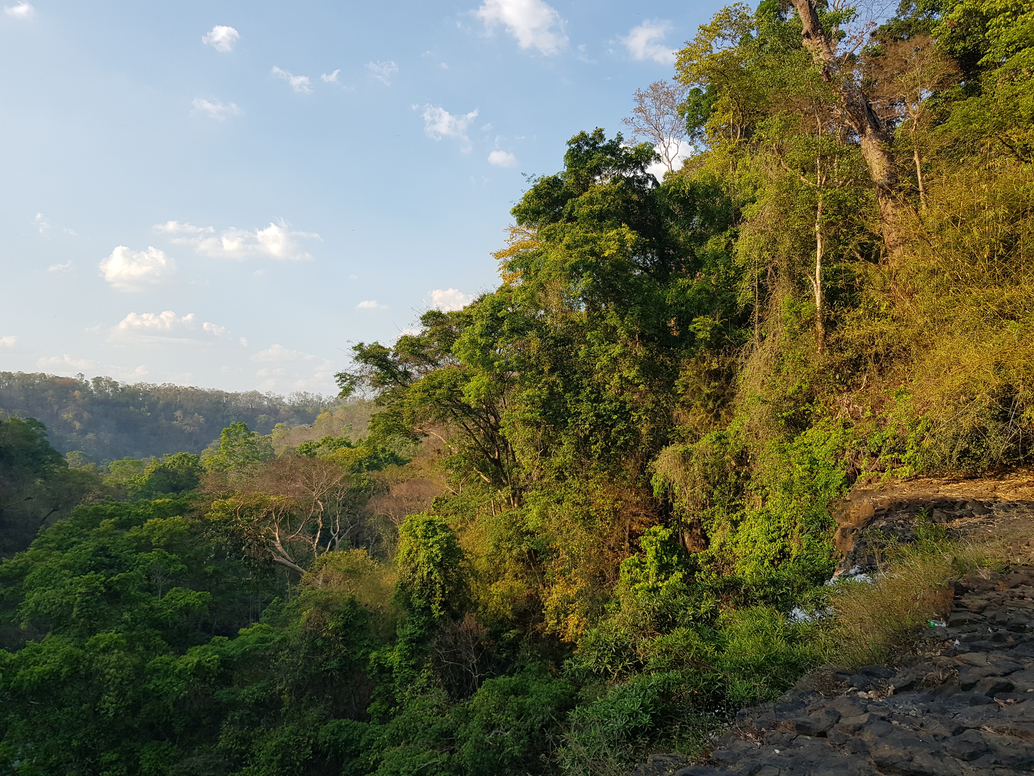 Mondulkiri province: This verdant landscape is nevertheless highly vulnerable to changing rainfall patterns due to a dependency on smallholder agriculture.