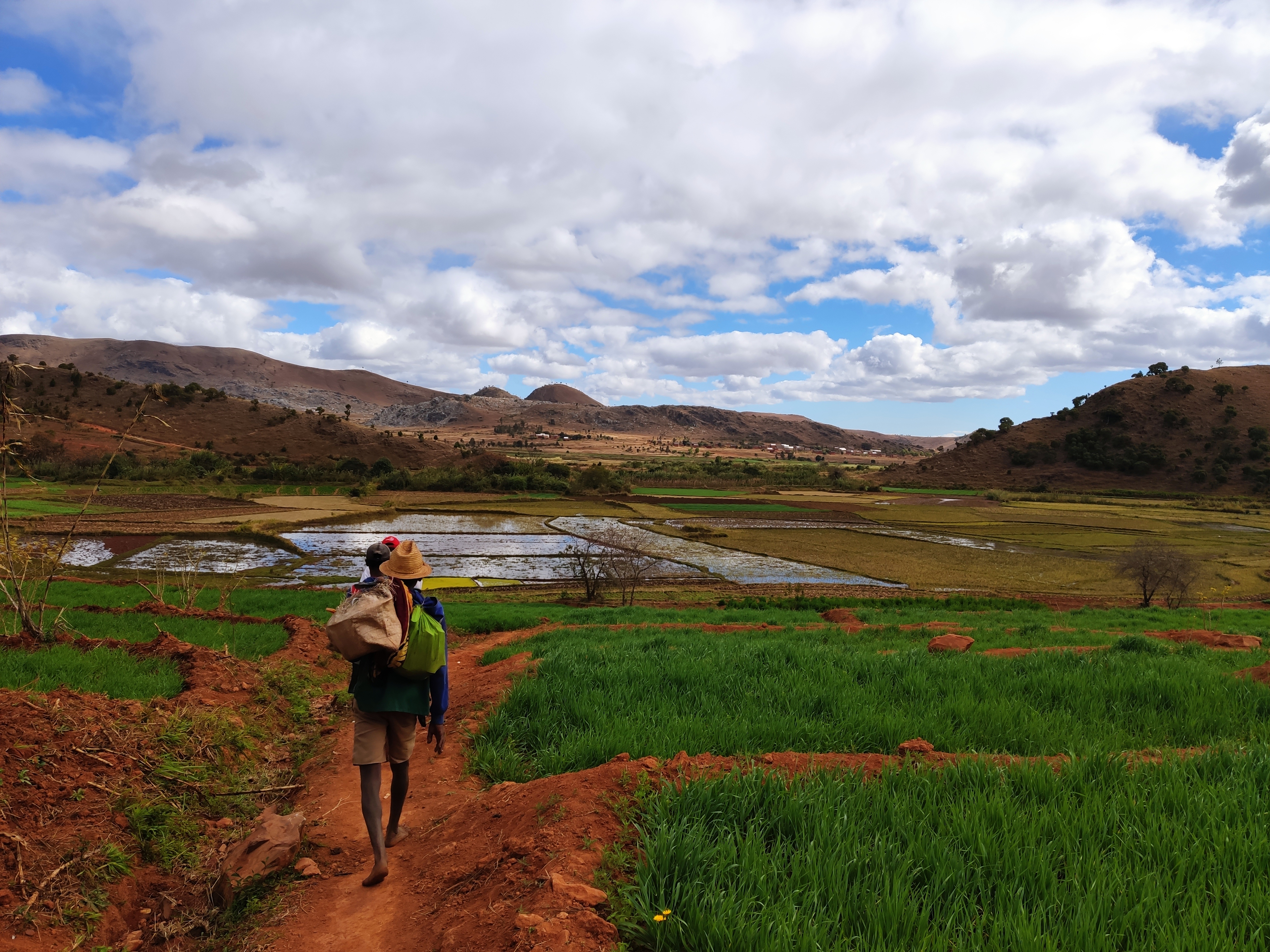 Heading home but coming back: community members gracefully navigate the vibrant agricultural landscape. We aim to return to Madagascar, sharing the research findings to empower these communities.