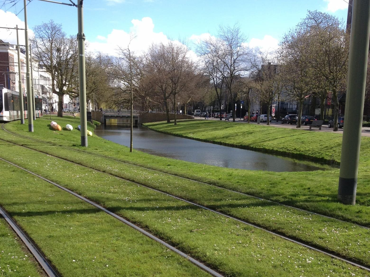 Green tram tracks in the central city area of Rotterdam, the Netherlands. Image: Emily O’Donnell