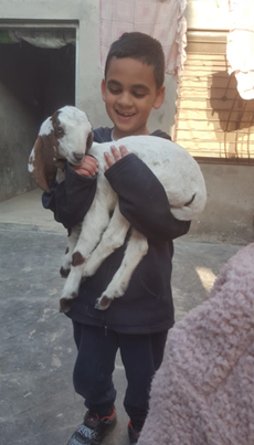 My son playing with a goat in Gujar Khan, Pakistan.