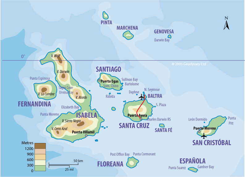 The Galápagos Islands © Globetrot printable maps on Pinterest 