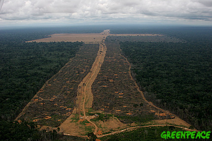 A huge area of 1645 hectares in Gleba do Pacoval, 100km from Santarem, is illegally logged to clear the way for a soya plantation. Copyright Daniel  Beltra / Greenpeace